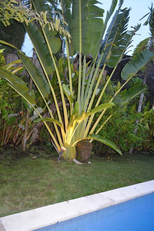 Villa Raquel Seminyak Rom bilde